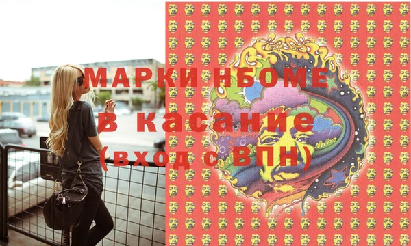хмурый Алзамай