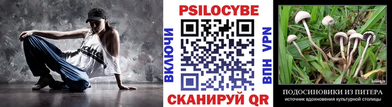 блэк спрут ССЫЛКА  Карабаш  Псилоцибиновые грибы Cubensis 